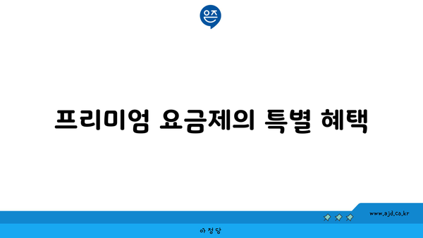 프리미엄 요금제의 특별 혜택