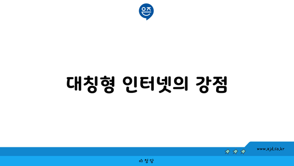 대칭형 인터넷의 강점