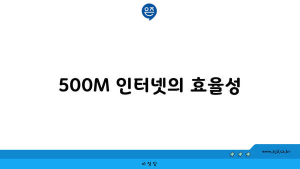 500M 인터넷의 효율성