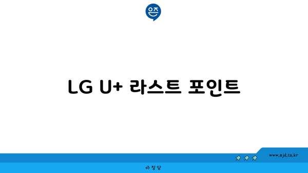 LG U+ 라스트 포인트