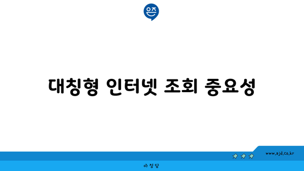 대칭형 인터넷 조회 중요성