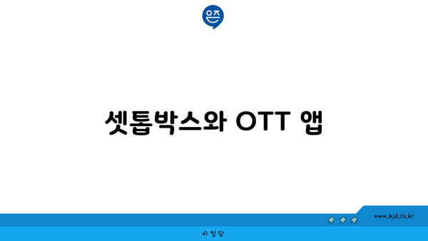 셋톱박스와 OTT 앱