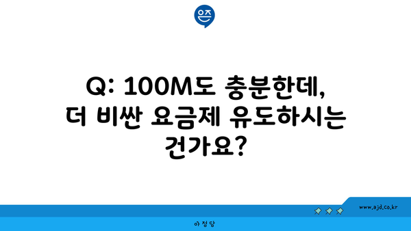 Q: 100M도 충분한데, 더 비싼 요금제 유도하시는 건가요?