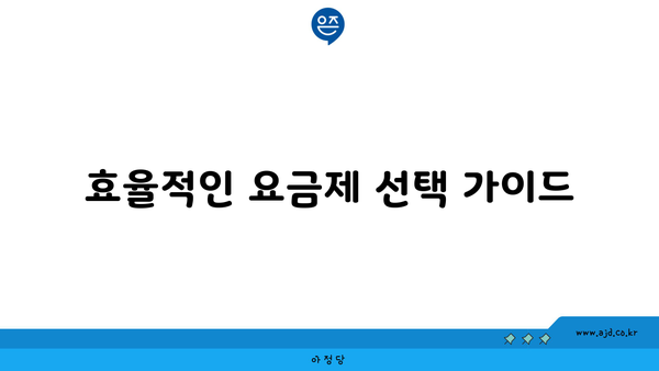 효율적인 요금제 선택 가이드