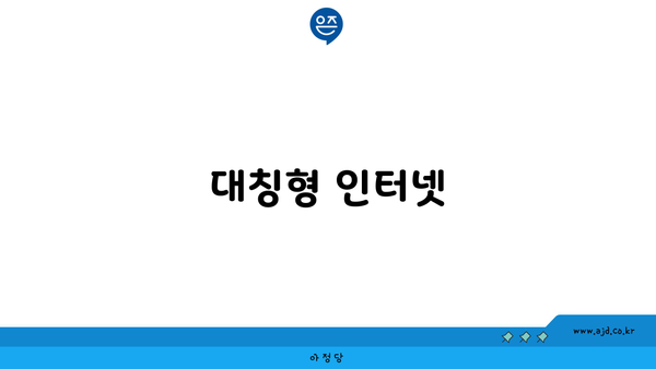 대칭형 인터넷