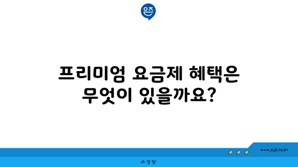 프리미엄 요금제 혜택은 무엇이 있을까요?