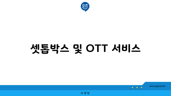 셋톱박스 및 OTT 서비스