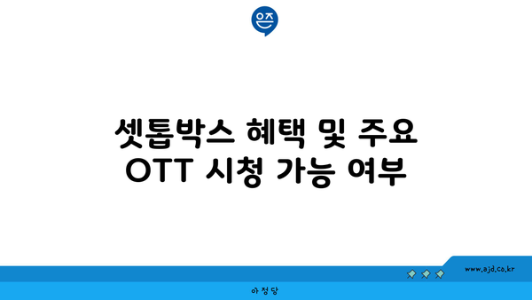 셋톱박스 혜택 및 주요 OTT 시청 가능 여부