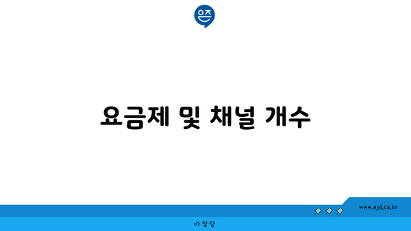 요금제 및 채널 개수