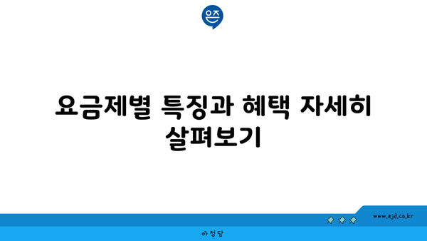 요금제별 특징과 혜택 자세히 살펴보기