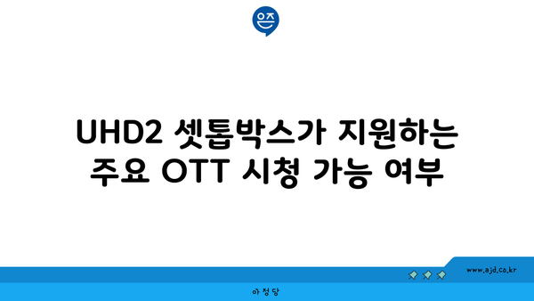 UHD2 셋톱박스가 지원하는 주요 OTT 시청 가능 여부