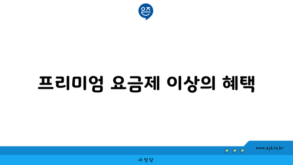 프리미엄 요금제 이상의 혜택