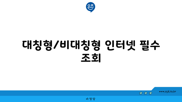 대칭형/비대칭형 인터넷 필수 조회