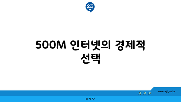 500M 인터넷의 경제적 선택