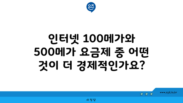 인터넷 100메가와 500메가 요금제 중 어떤 것이 더 경제적인가요?