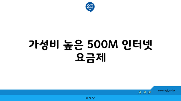 가성비 높은 500M 인터넷 요금제