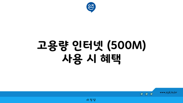 고용량 인터넷 (500M) 사용 시 혜택