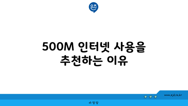 500M 인터넷 사용을 추천하는 이유