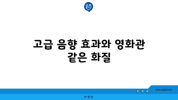 고급 음향 효과와 영화관 같은 화질