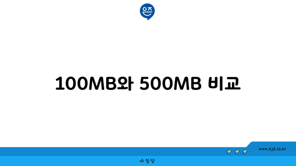 100MB와 500MB 비교