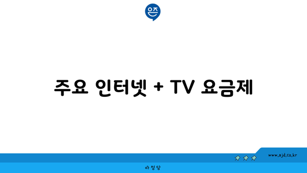 주요 인터넷 + TV 요금제