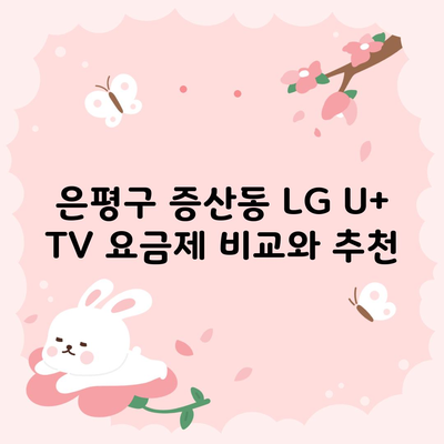 은평구 증산동 LG U+ TV 요금제 비교와 추천