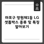 마포구 망원제1동 LG 셋톱박스 종류 및 특징 알아보기