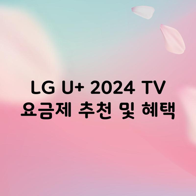 LG U+ 2024 TV 요금제 추천 및 혜택