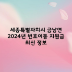 세종특별자치시 금남면 2024년 번호이동 지원금 최신 정보