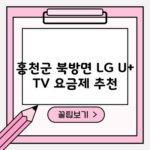 홍천군 북방면 LG U+ TV 요금제 추천