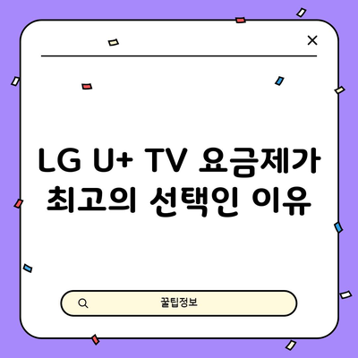 LG U+ TV 요금제가 최고의 선택인 이유