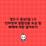 영도구 동삼1동 LG 인터넷과 결합상품 요금 및 혜택에 대한 알아보기