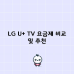 LG U+ TV 요금제 비교 및 추천