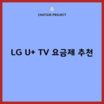 LG U+ TV 요금제 추천