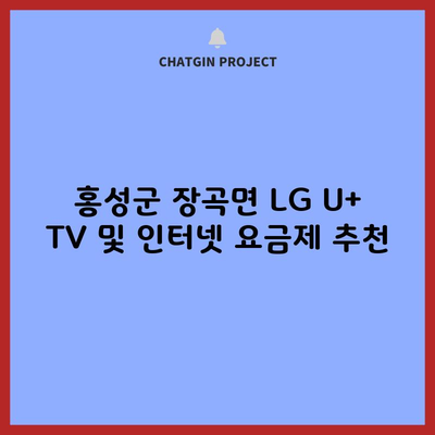 홍성군 장곡면 LG U+ TV 및 인터넷 요금제 추천