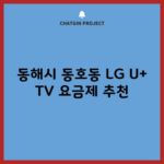 동해시 동호동 LG U+ TV 요금제 추천