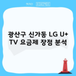 광산구 신가동 LG U+ TV 요금제 장점 분석