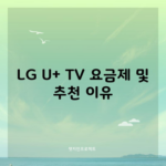 LG U+ TV 요금제 및 추천 이유