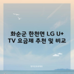 화순군 한천면 LG U+ TV 요금제 추천 및 비교