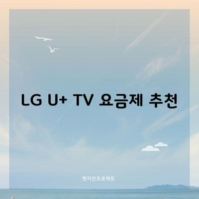 LG U+ TV 요금제 추천