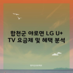 합천군 야로면 LG U+ TV 요금제 및 혜택 분석