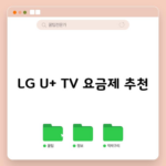 LG U+ TV 요금제 추천