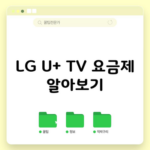 LG U+ TV 요금제 알아보기