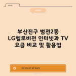 부산진구 범전2동 LG헬로비전 인터넷과 TV 요금 비교 및 활용법