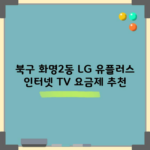 북구 화명2동 LG 유플러스 인터넷 TV 요금제 추천