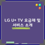 LG U+ TV 요금제 및 서비스 소개