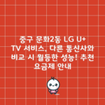 중구 문화2동 LG U+ TV 서비스, 다른 통신사와 비교 시 월등한 성능! 추천 요금제 안내