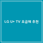 LG U+ TV 요금제 추천