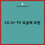 LG U+ TV 요금제 추천