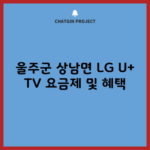 울주군 상남면 LG U+ TV 요금제 및 혜택